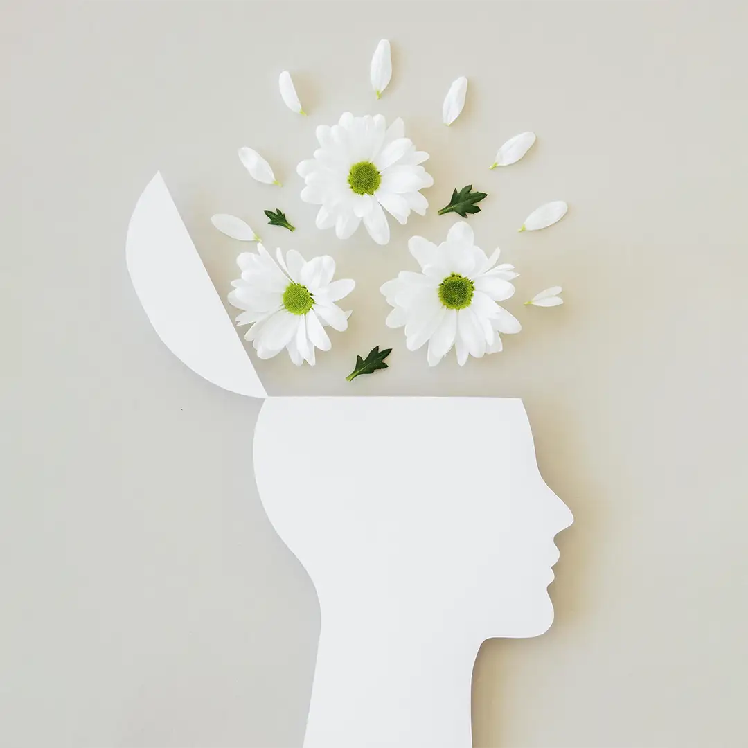 Apoio Psicológico São José dos Campos